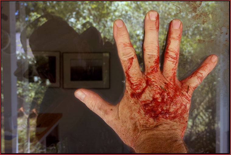 bloody hand on a glass door