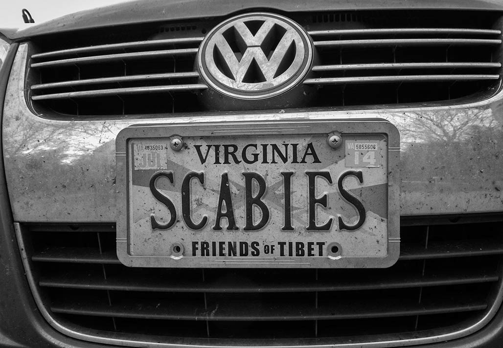 license plate scabies