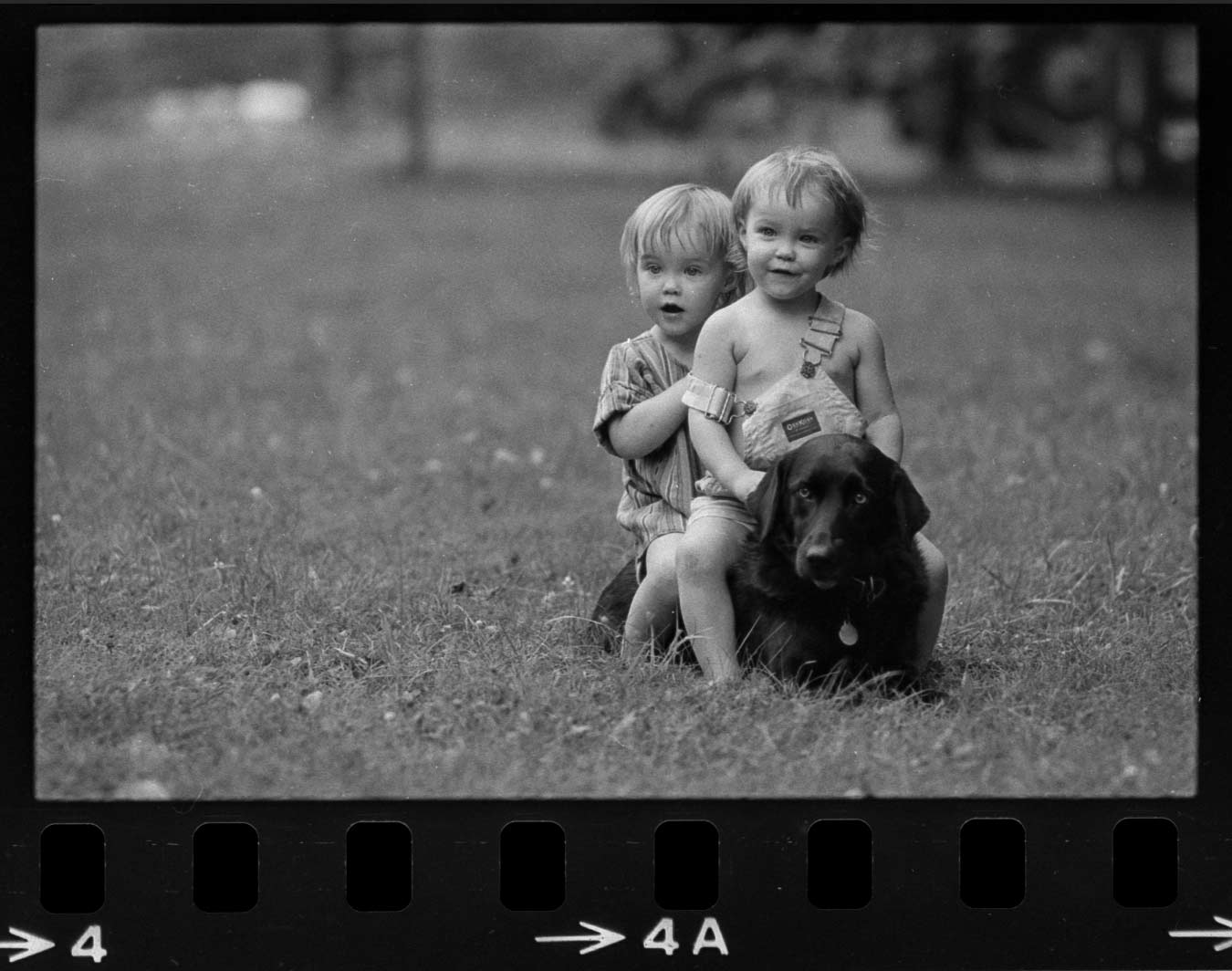 2 children and dog
