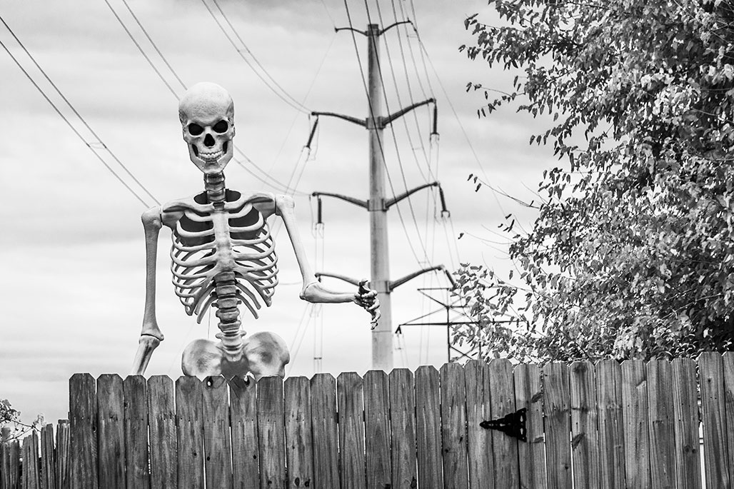 transmission line skeleton fence