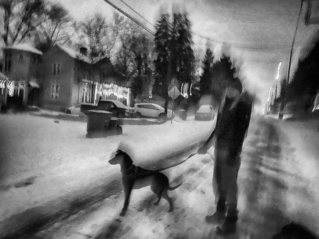 snow pedestrian dog