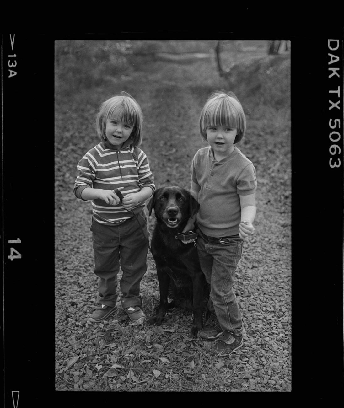 twin homo sapiens and canis familiarus